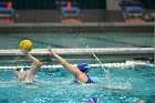 WWPolo vs CC  Wheaton College Women’s Water Polo compete in their sports inaugural match vs Connecticut College. - Photo By: KEITH NORDSTROM : Wheaton, water polo, inaugural